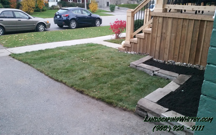 Front Yard Landscaping Sod